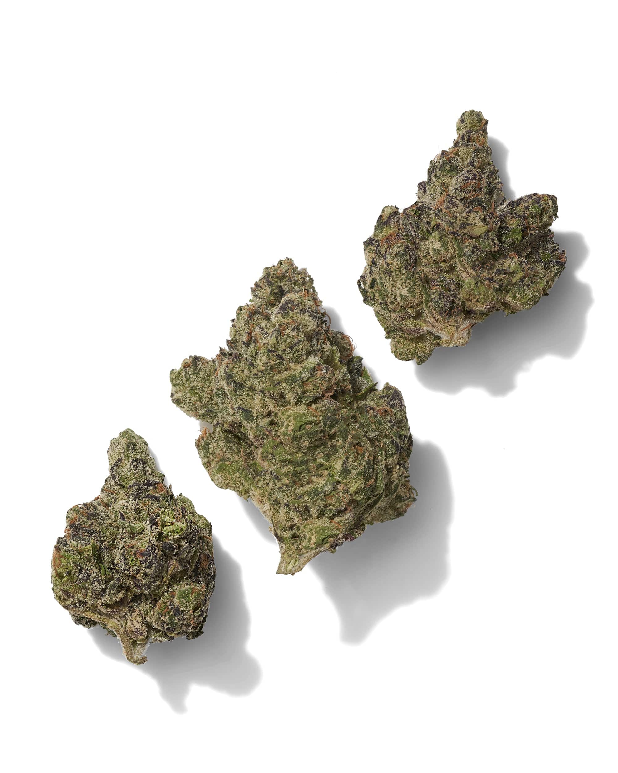 Three dense MOB THCA flower buds with green and purple coloring and visible trichomes